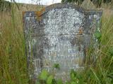 image of grave number 113058